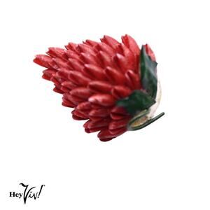 Vintage Fruit Pin 3D Shape Made from Tiny Red Shells w Leaves 1.25" - Hey Viv